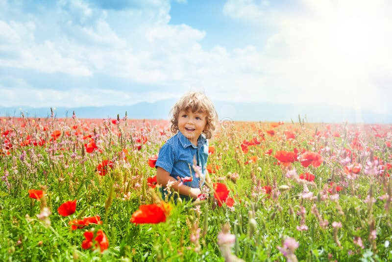 Little boy in poppy field