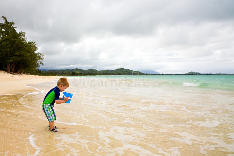 Little Boy que juega con un compartimiento en la playa fotografía de archivo Little Boy que juega con un compartimiento en la playa fotografía de archivo