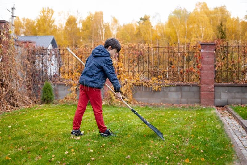 Little Boy with a Rake Cleaning Fallen Leaves in the Autumn Yard Garden ...