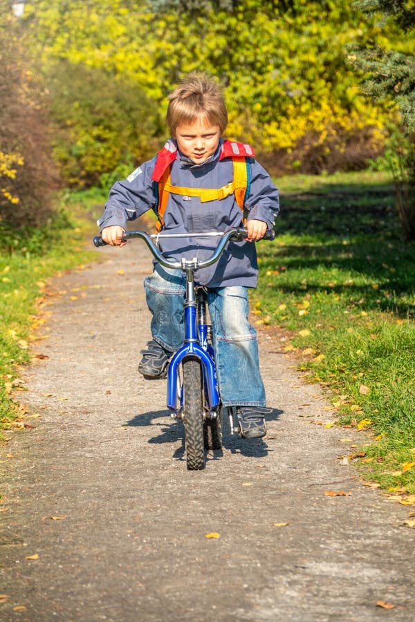 Little Five Year Old Boy Climbs a Tree in the Autumn Park Stock Photo