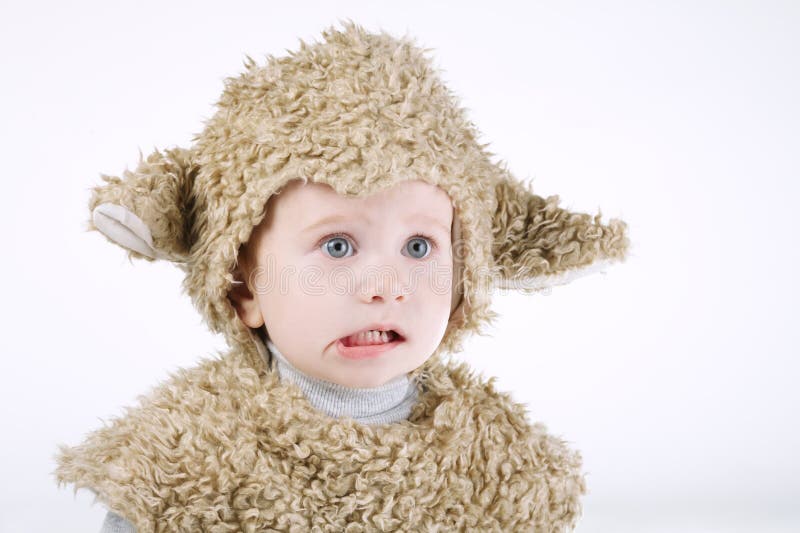 Little boy with sheep costume royalty free stock photography