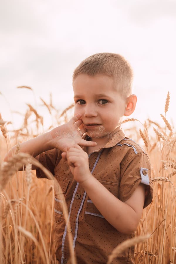 A Little Boy Stands In A Field In Wheat And Looks Away Stock Image