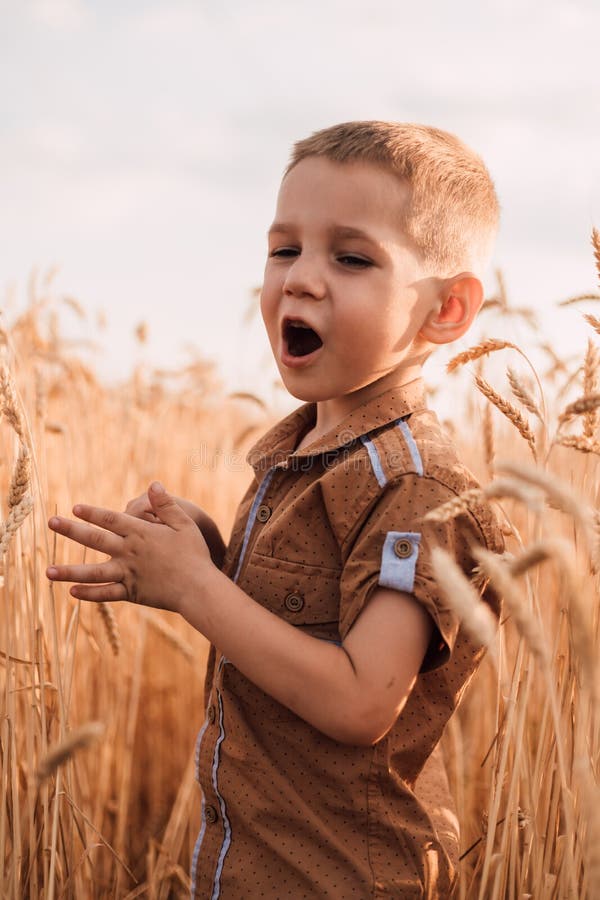 A Little Boy Stands In A Field In Wheat And Screams Stock Image Image