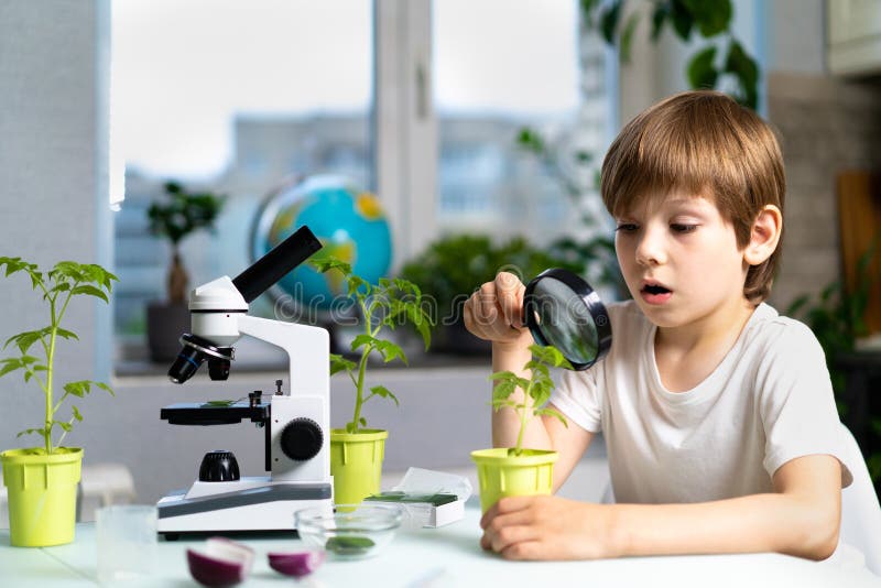 Little boy studies under the microscope plants, enthusiastically looks royalty free stock images