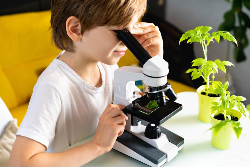 Little boy studies under the microscope plants, enthusiastically looks royalty free stock photography