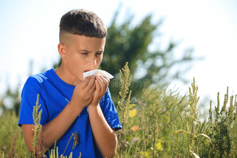 Little Boy Suffering from Ragweed Allergy Stock Image Image of bushes