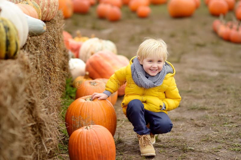 Little boy on a tour of a pumpkin farm at autumn. Child sitting near giant pumpkin stock images Little boy on a tour of a pumpkin farm at autumn. Child sitting near giant pumpkin stock images