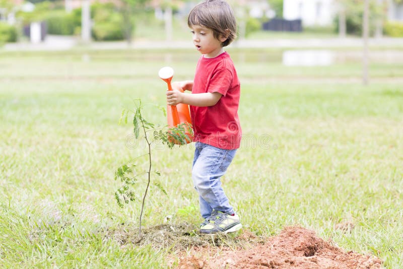 Boys plant