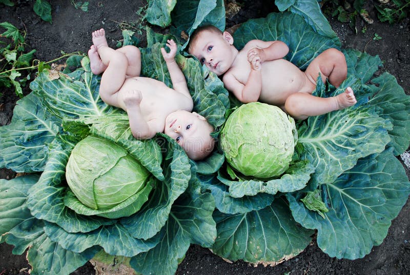 Little boys playing in garden