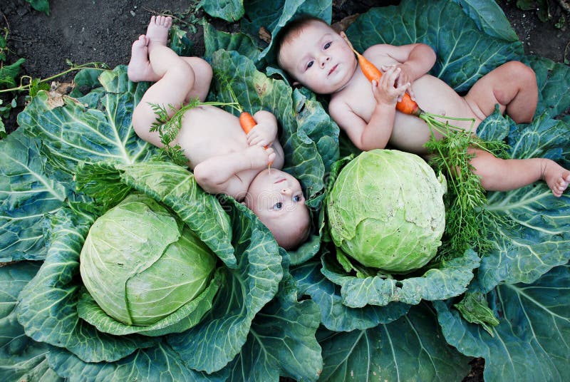 Little boys playing in garden with carrots