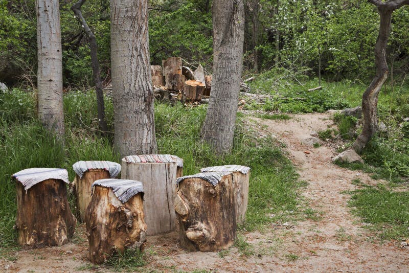 Little Cafe of Tree Trunks. Stock Image Image of pathway, friendly