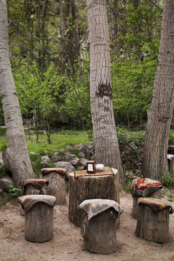 Little Cafe of Tree Trunks. Stock Image Image of environment