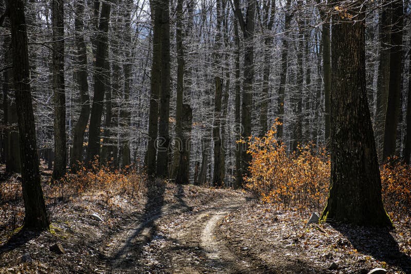 Little Carpathians scenery, Slovakia, seasonal natural scene