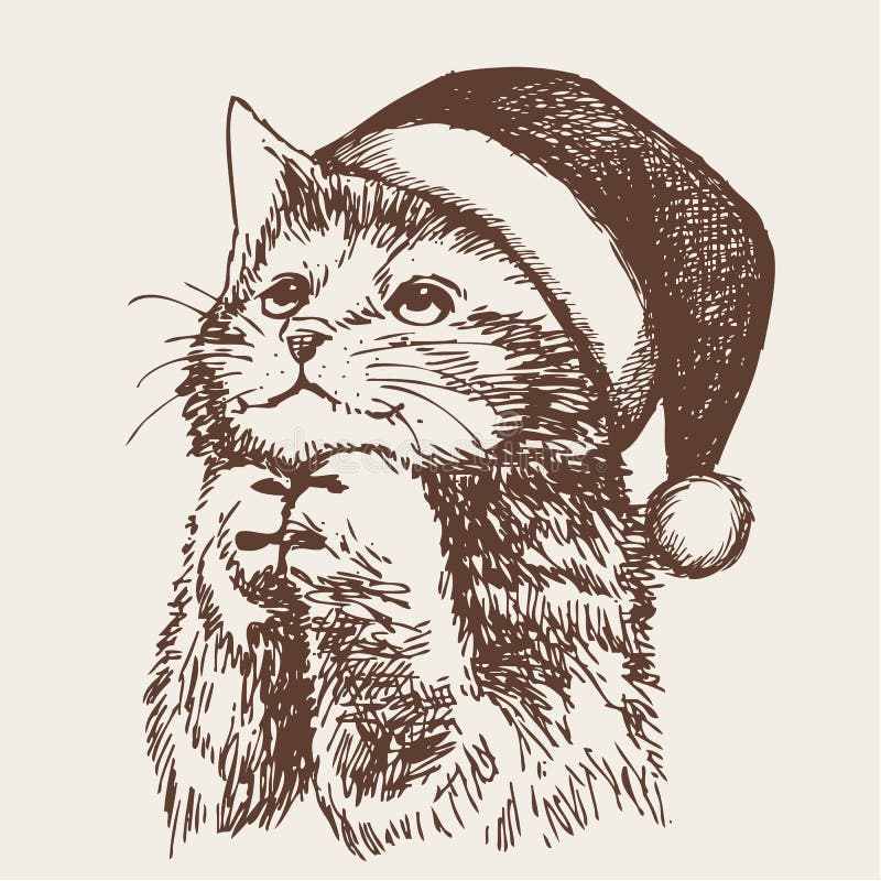 Little cat, kitten with christmas santa hat