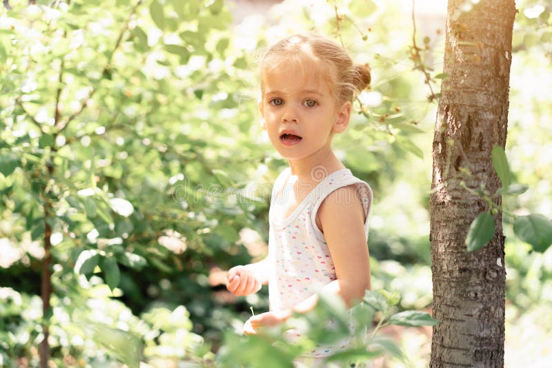 Little Caucasian Girl, Two Years Old, Gathering Unripe Cherries in ...