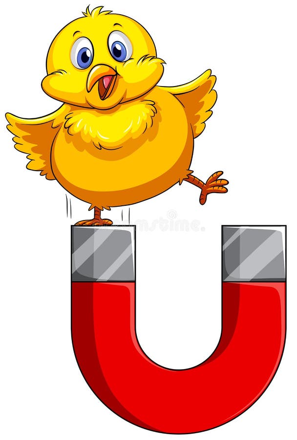 Chick Stock Illustrations 17 Chick Stock Illustrations