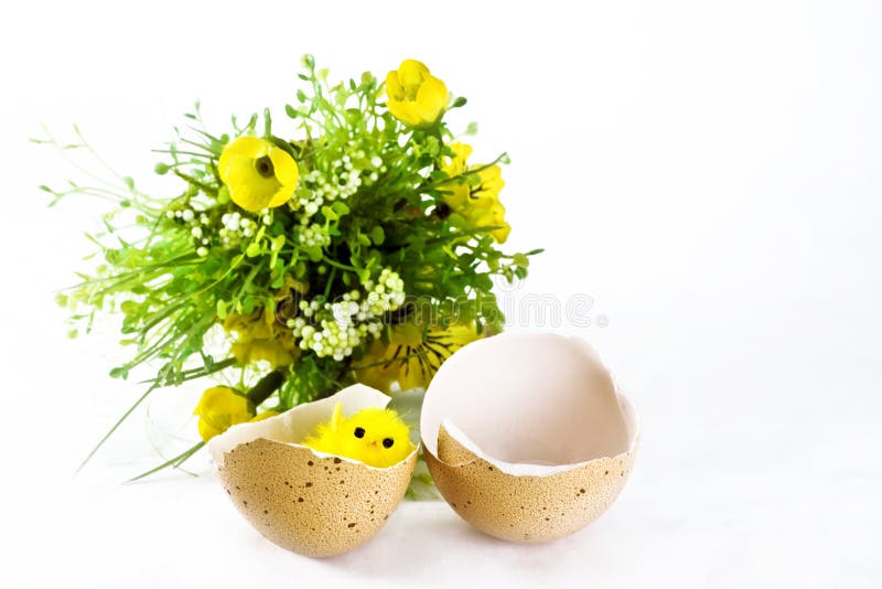 Little chicken in an egg shell royalty free stock images Little chicken in an egg shell royalty free stock images