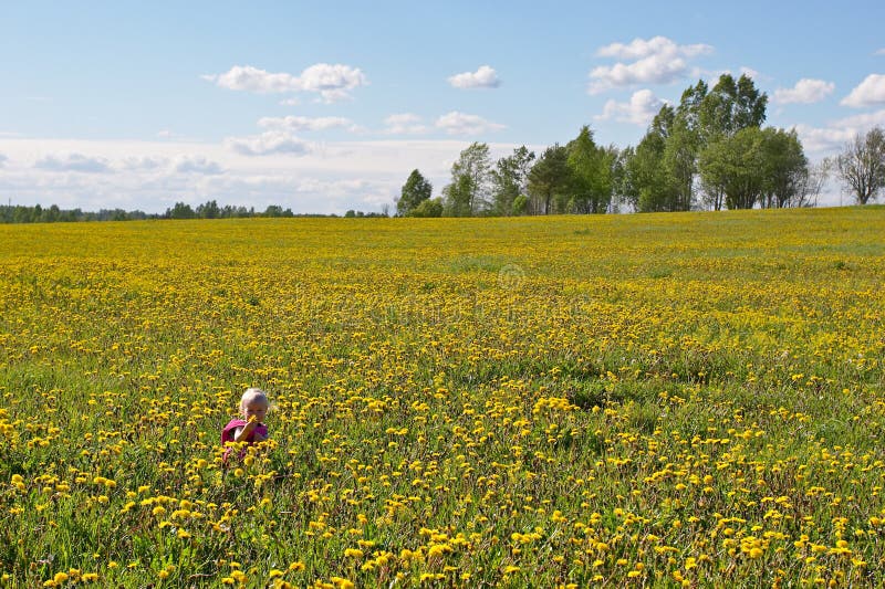 Little child among flowers