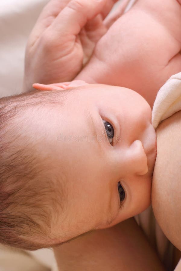 The little child sucks his mother breast royalty free stock image The little child sucks his mother breast royalty free stock image
