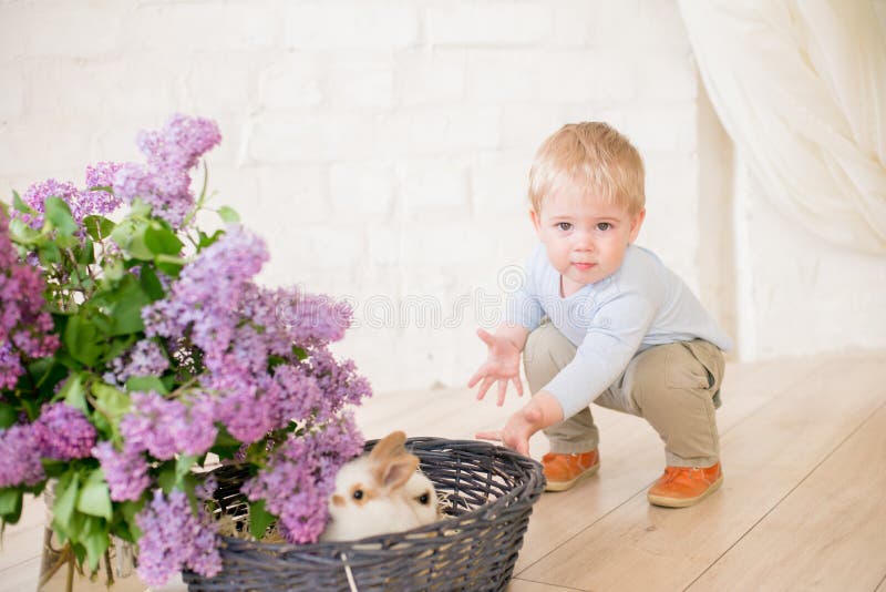 Little cute boy with blond hair with little bunnies with lilac flowers in a wicker basket royalty free stock photography Little cute boy with blond hair with little bunnies with lilac flowers in a wicker basket royalty free stock photography