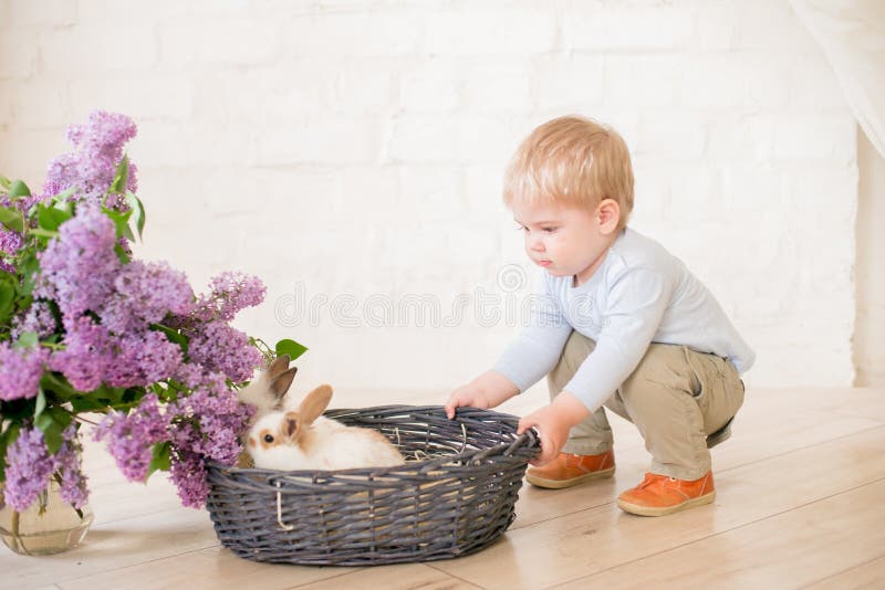 Little cute boy with blond hair with little bunnies with lilac flowers in a wicker basket stock photography Little cute boy with blond hair with little bunnies with lilac flowers in a wicker basket stock photography