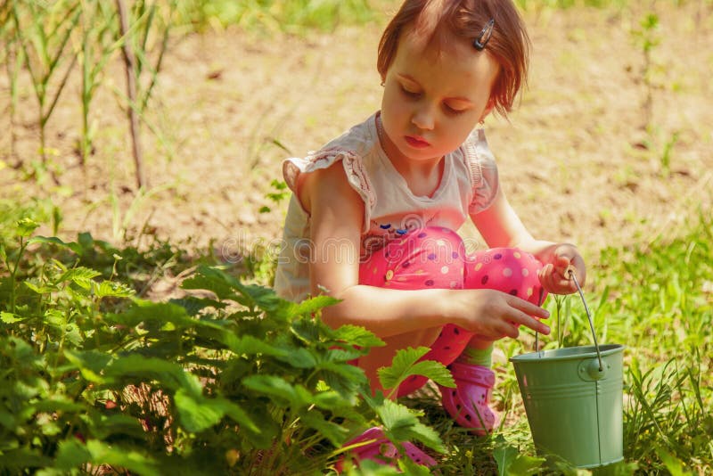 Little cute child girl having fun on strawberry farm in summer. Child eating healthy organic food, fresh berries