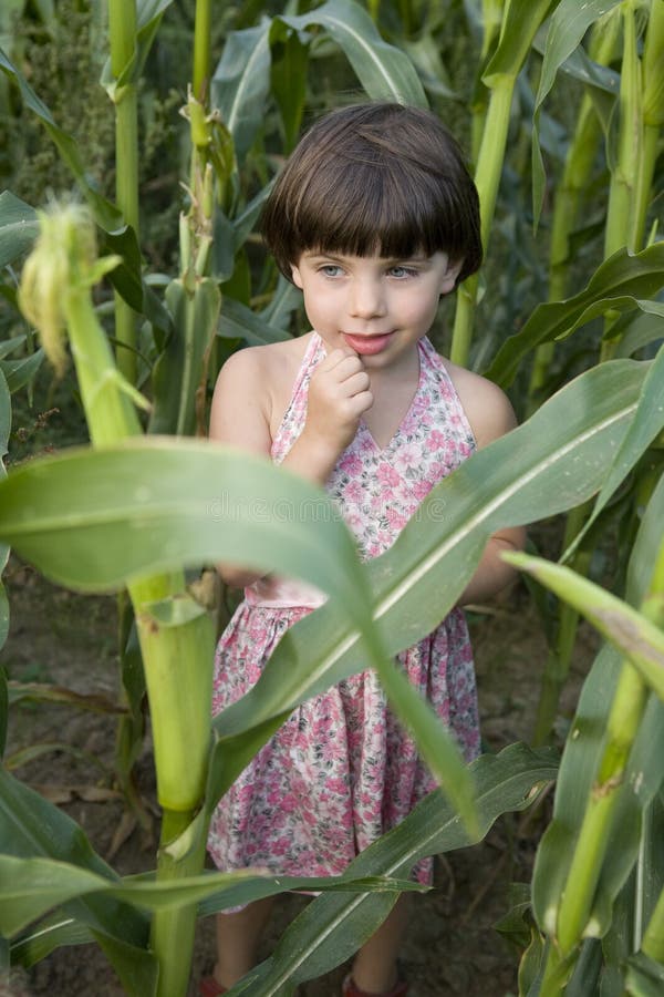 Little cute girl standing on field of corn