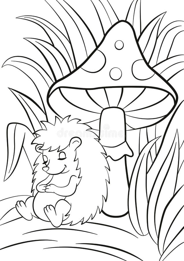 https://thumbs.dreamstime.com/b/little-cute-hedgehog-sleeps-near-big-toadstool-coloring-pages-there-lot-grass-around-smiles-68824111.jpg