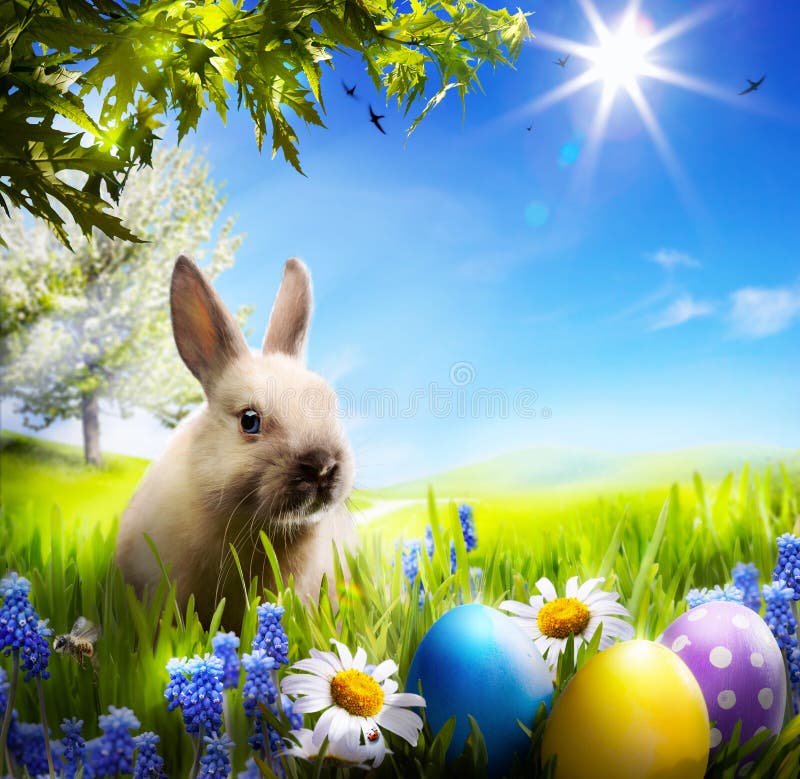 Little Bunny In Basket With Decorated Eggs Easter Card Stock Photo   Download Image Now  iStock
