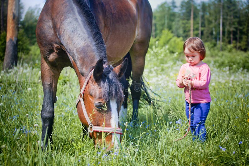 Una ragazza carina che tiene la corda di piombo di un cavallo al pascolo.