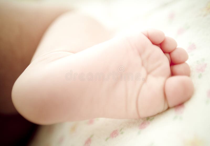 Newborns foot stock image. Image of legs, foot, thumb 16798487
