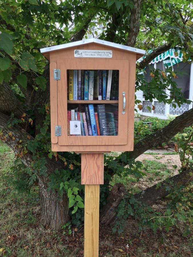 Little Free Community Library Take a Book Share a Book on Street Corner ...
