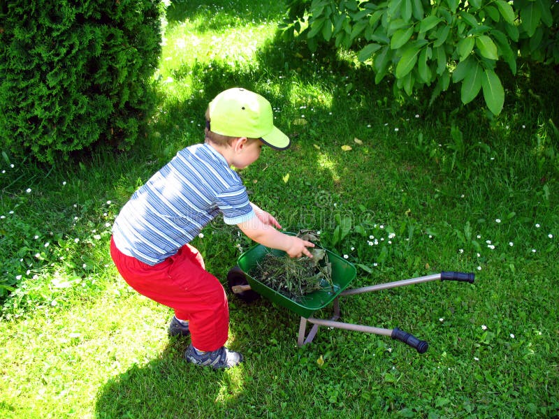 Little gardener