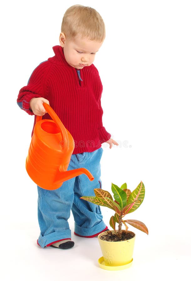 Little gardener boy