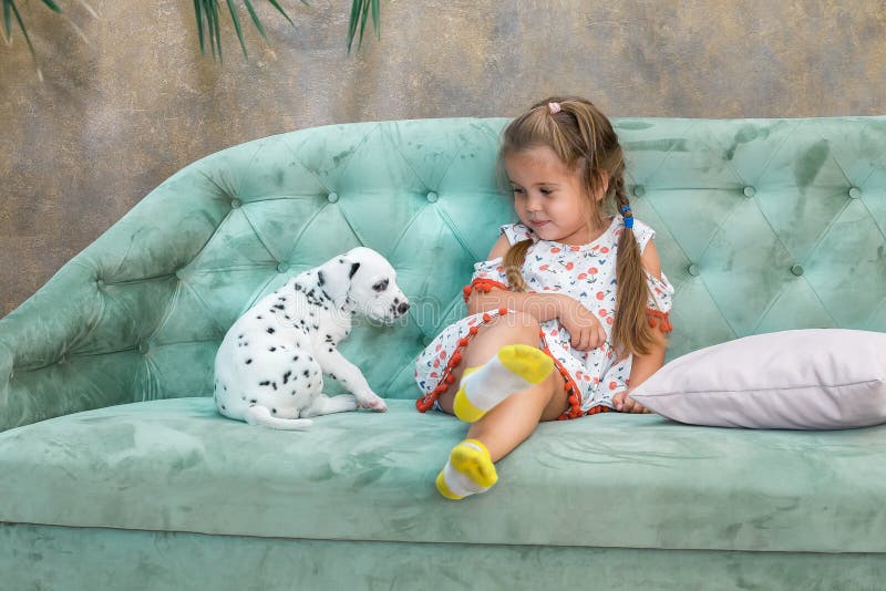 Little Girl and Dalmatian Puppy Stock Image Image of funny, cute