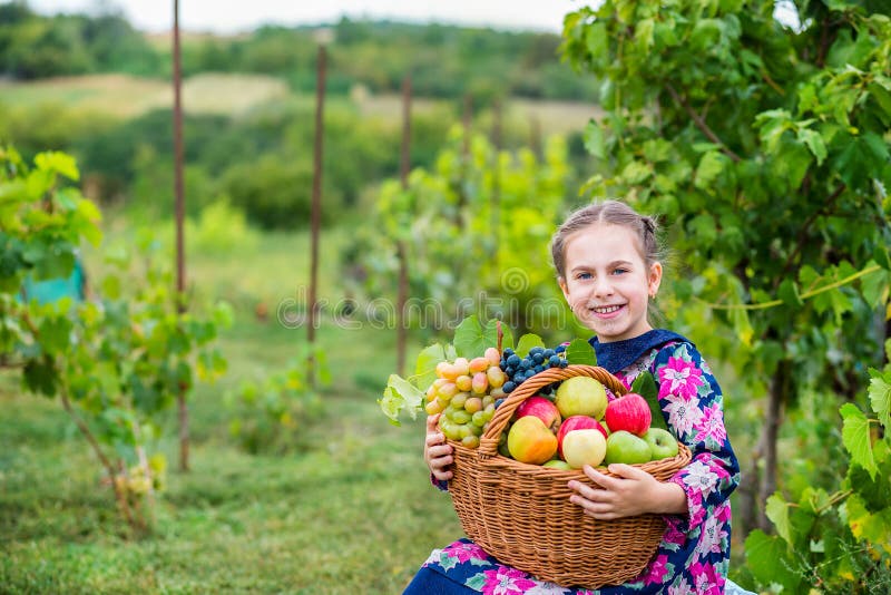 A little girl with a basket, with red apples and grapes