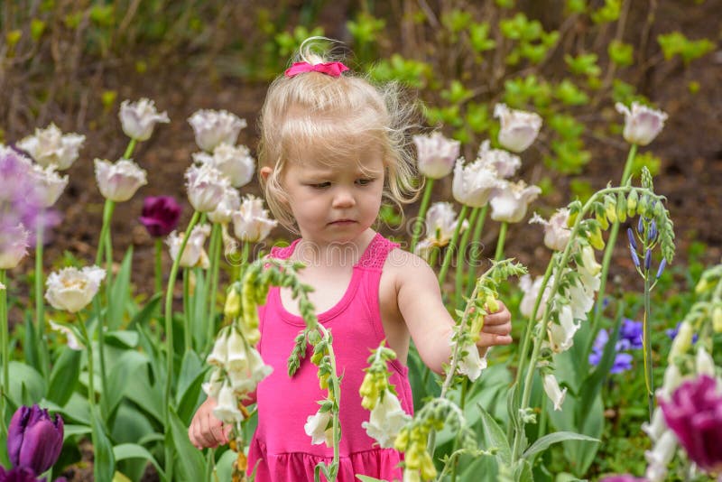 Little girl at botanical garden touching flowers. Inquisitive little girl in garden touching flowers stock images Little girl at botanical garden touching flowers. Inquisitive little girl in garden touching flowers stock images