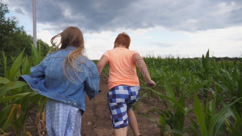 Little girl and boy holding hands of each other and having fun while running through corn field. Cute children jogging