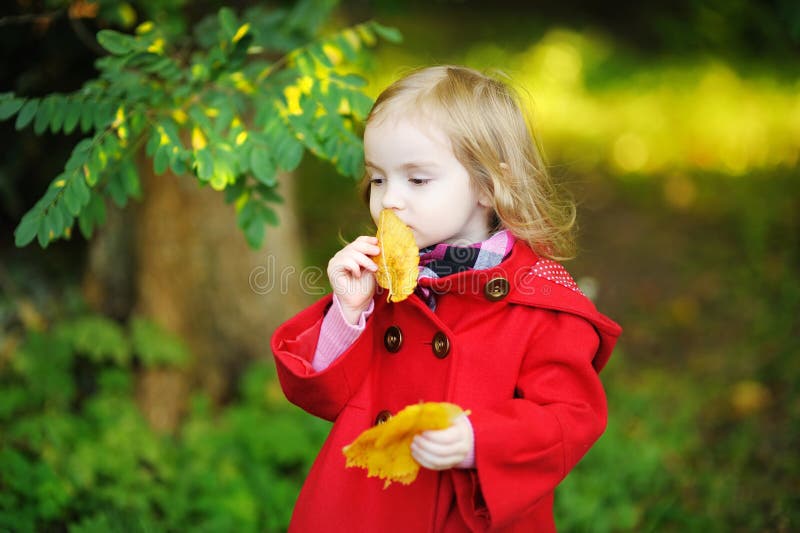 Little Girl in Bright Red Coat at Autumn Stock Photo Image of happy, autumn 21155874