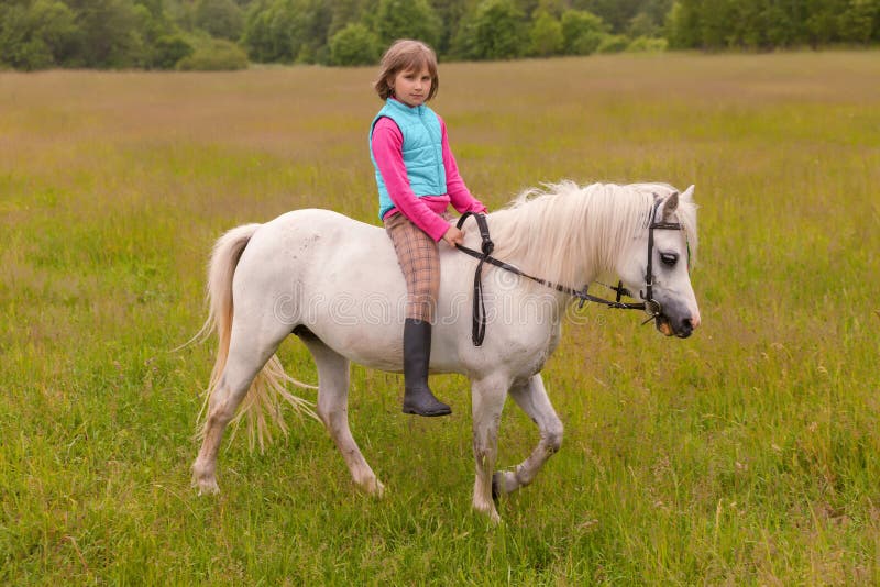 Little girl child walks on a white horse on the field Outdoors stock photo Little girl child walks on a white horse on the field Outdoors stock photo