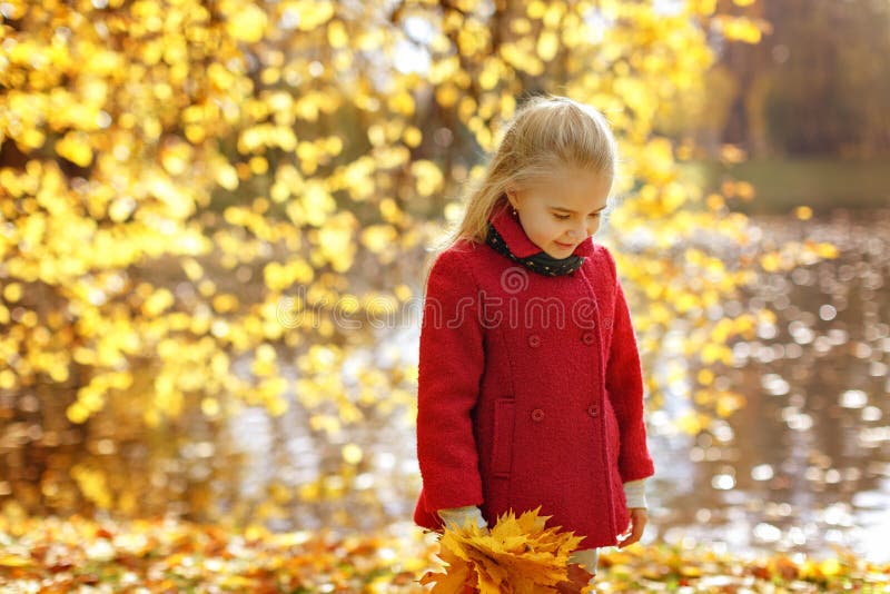 Little Girl in Coat in Autumn Park Looking Down Stock Photo Image of