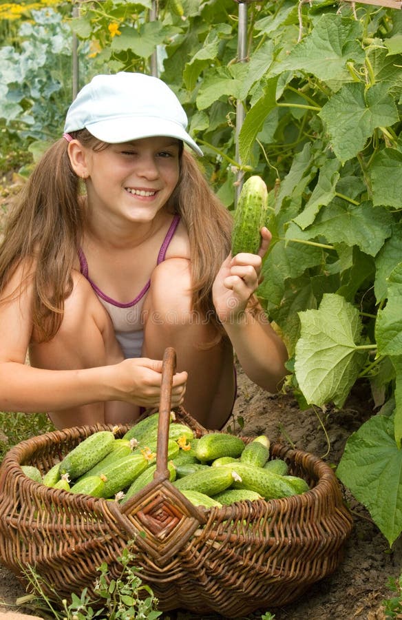 Little girl with the big basket with cucumbers.