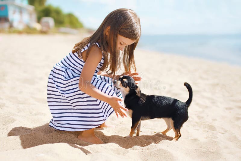 Little girl and dog on the beach in sunny summer day