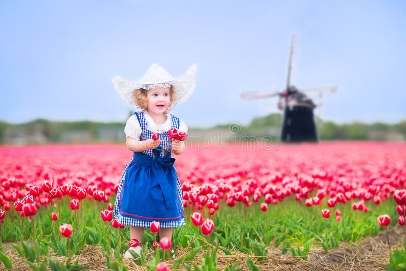 Little Girl in Dutch Costume in Tulips Field with Windmill Stock Image ...