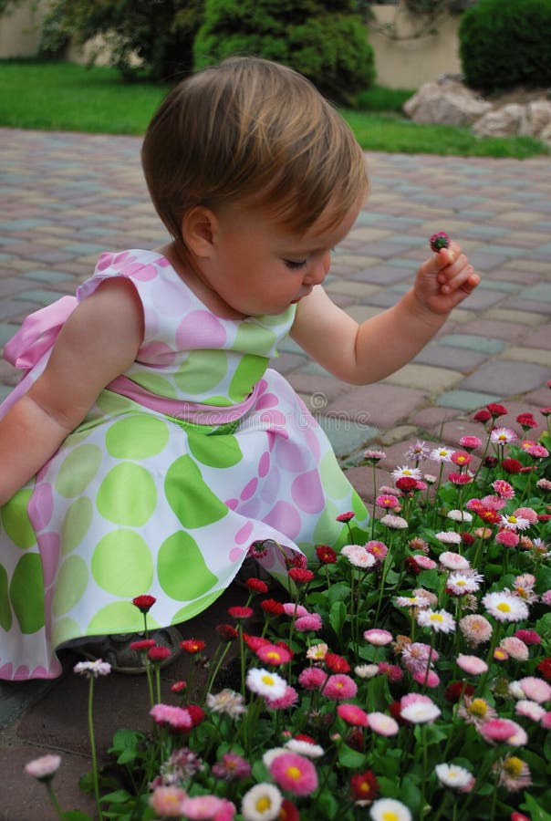 Picking Flowers stock photo. Image of bush, flowers, greenery 5013624