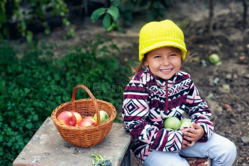 Little girl with fresh apples on the plot stock image Little girl with fresh apples on the plot stock image