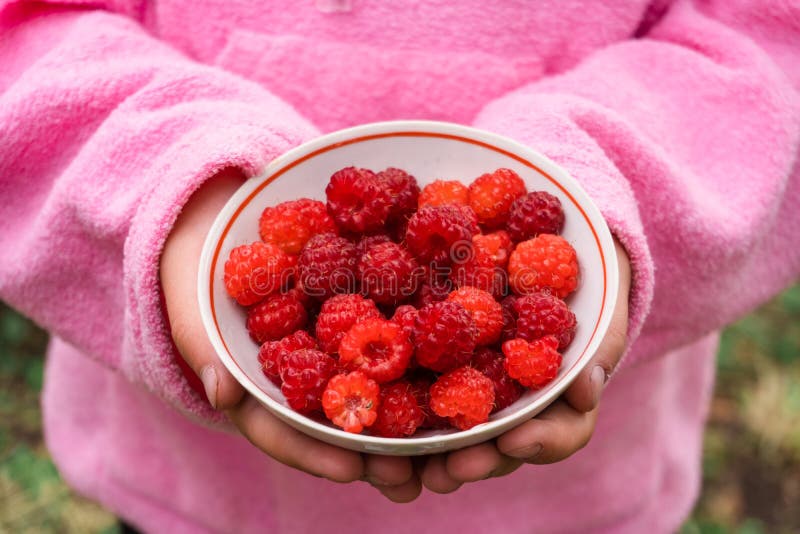 Little Girl in the Garden with Berries in Her Hands 1 Stock Photo