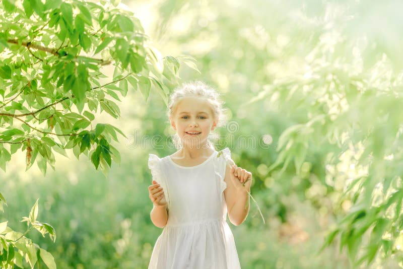 Little Girl Gathering Flowers in Park Stock Image - Image of leisure ...