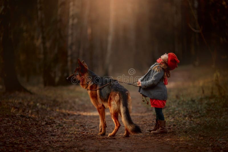 Little girl with German shepherd dog in an autumn forest