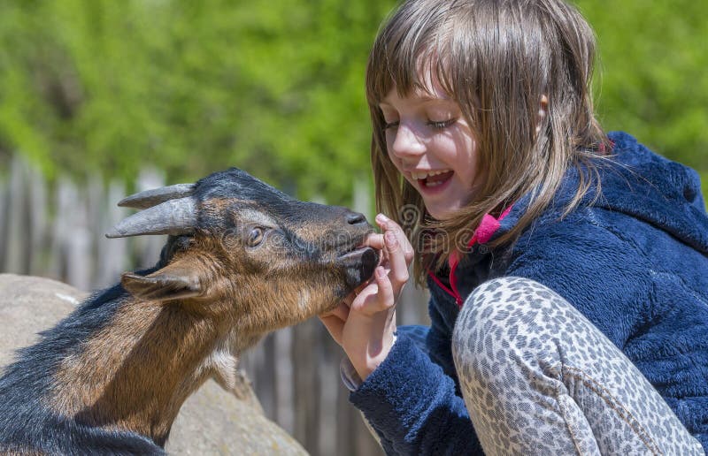 Little girl with goat stock photo. Image of background 70817550